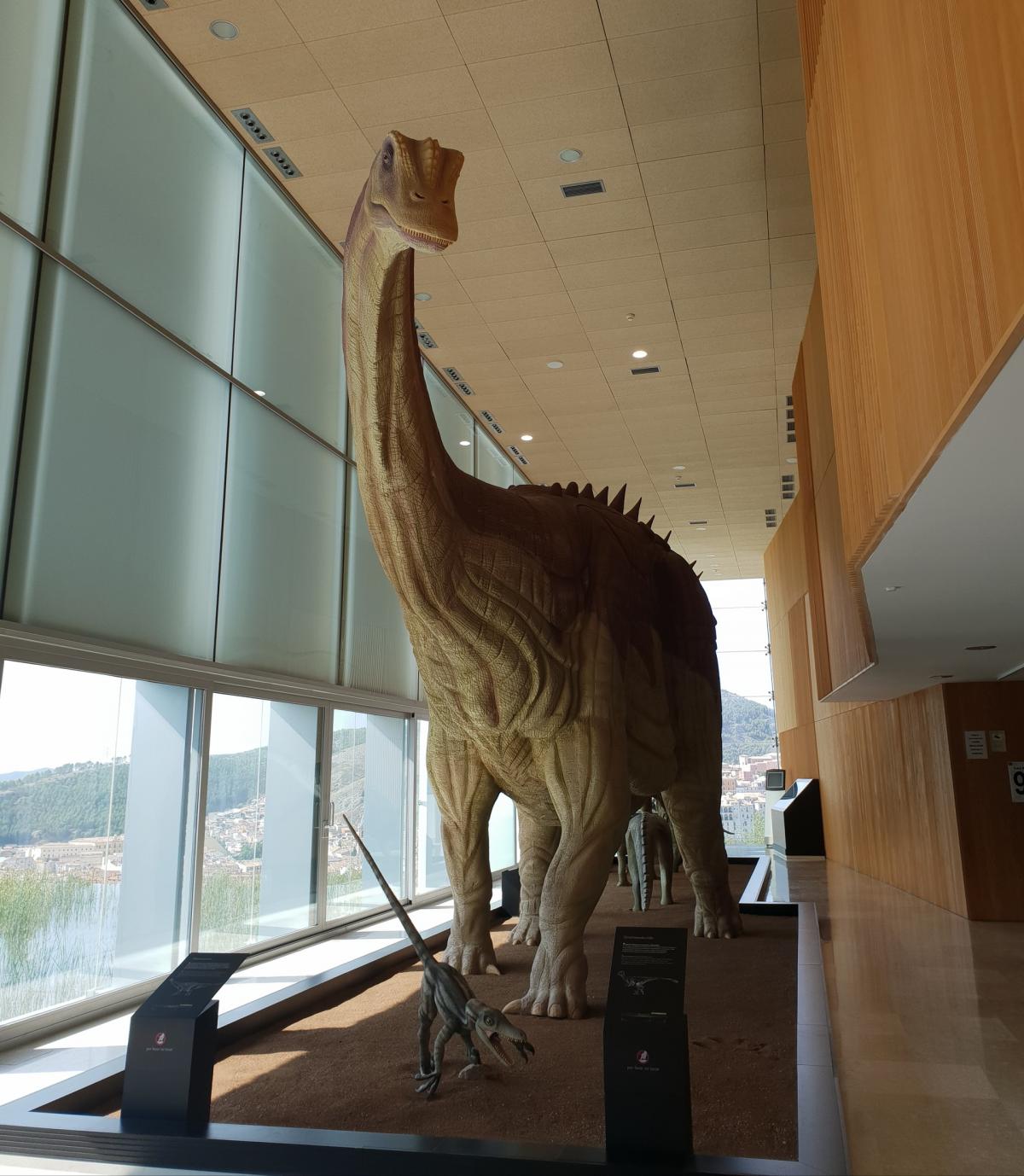 Museo Paleontológico de C-LM (Cuenca)